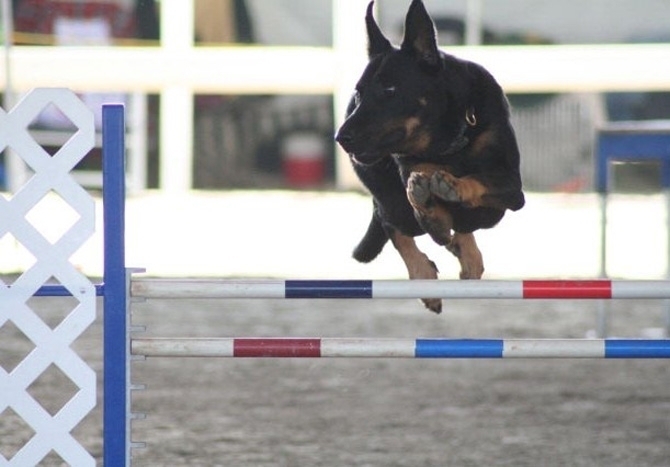 Agility - Des Gardiens de Rome