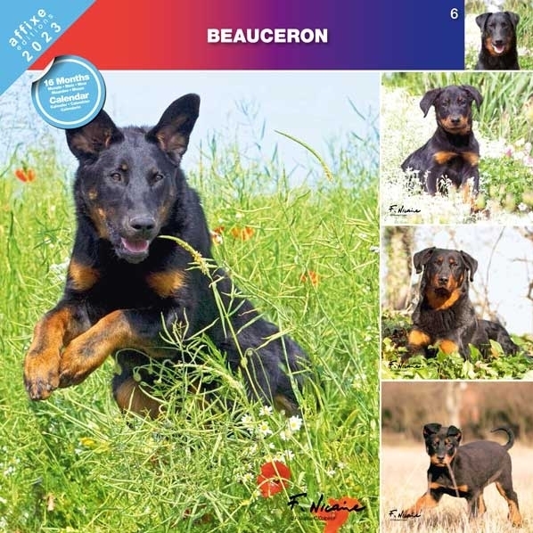 Calendario 2023 razza BEAUCERON - Des Gardiens de Rome