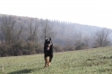 0_4528845_142137.jpg